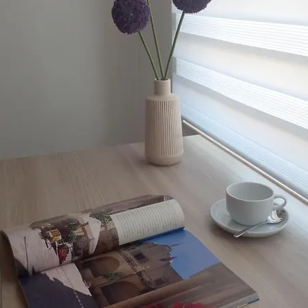 Coral Reef * Σεντ Πόλς Μπέι