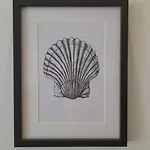 Coral Reef Apartament