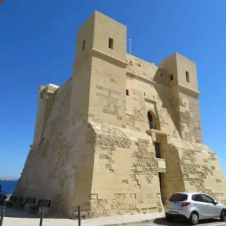 Coral Reef St. Paul's Bay