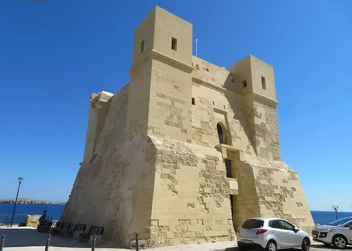 Coral Reef St. Paul's Bay