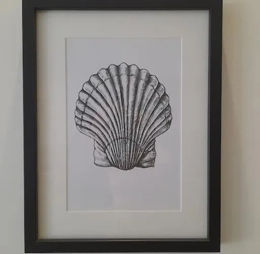 Coral Reef Apartament